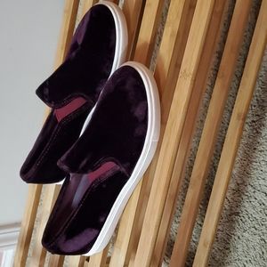 Purple Velvet Loafers